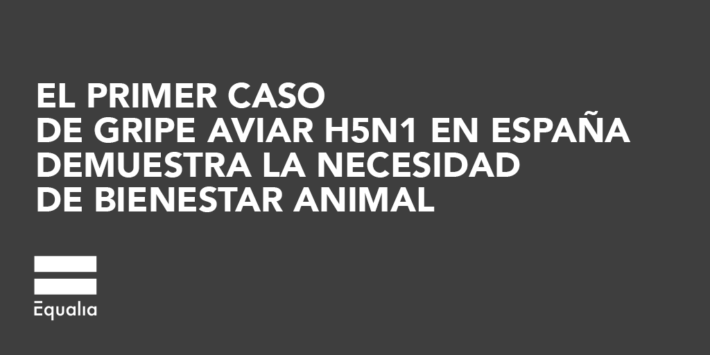 _observatorioba's tweet photo. El pasado 27 de septiembre se detectó el primer caso de #gripeaviar en España. Este hecho respalda la necesidad de entidades como #Equalia, que ponen el bienestar animal en el centro de la #sostenibilidad y de la #seguridadalimentaria https://t.co/vl1WPbbVRq
