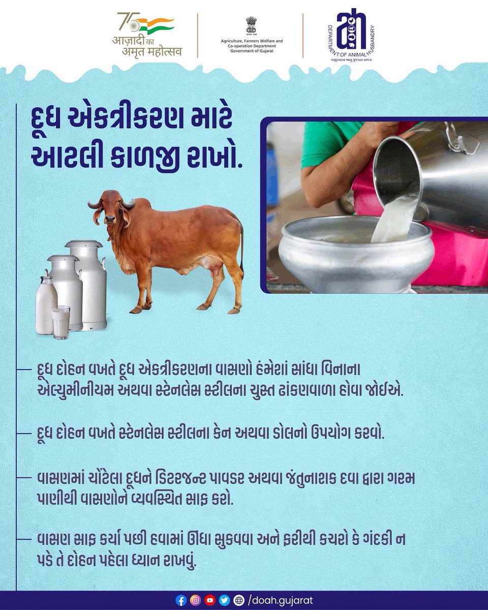 DAH_DAHOD's tweet photo. દૂધ એકત્રીકરણ માટે આટલી કાળજી રાખો.
#doah #departmentofanimalhusbandry #gujarat #animals #gujaratinformation #governmentofgujarat #pasupalak #animalhealth #animalhealthcare #animalsmatter #milked #animalhealthtips #cleanmilkproduction #milkstorage #Dahod https://t.co/0PXL7cs1IB