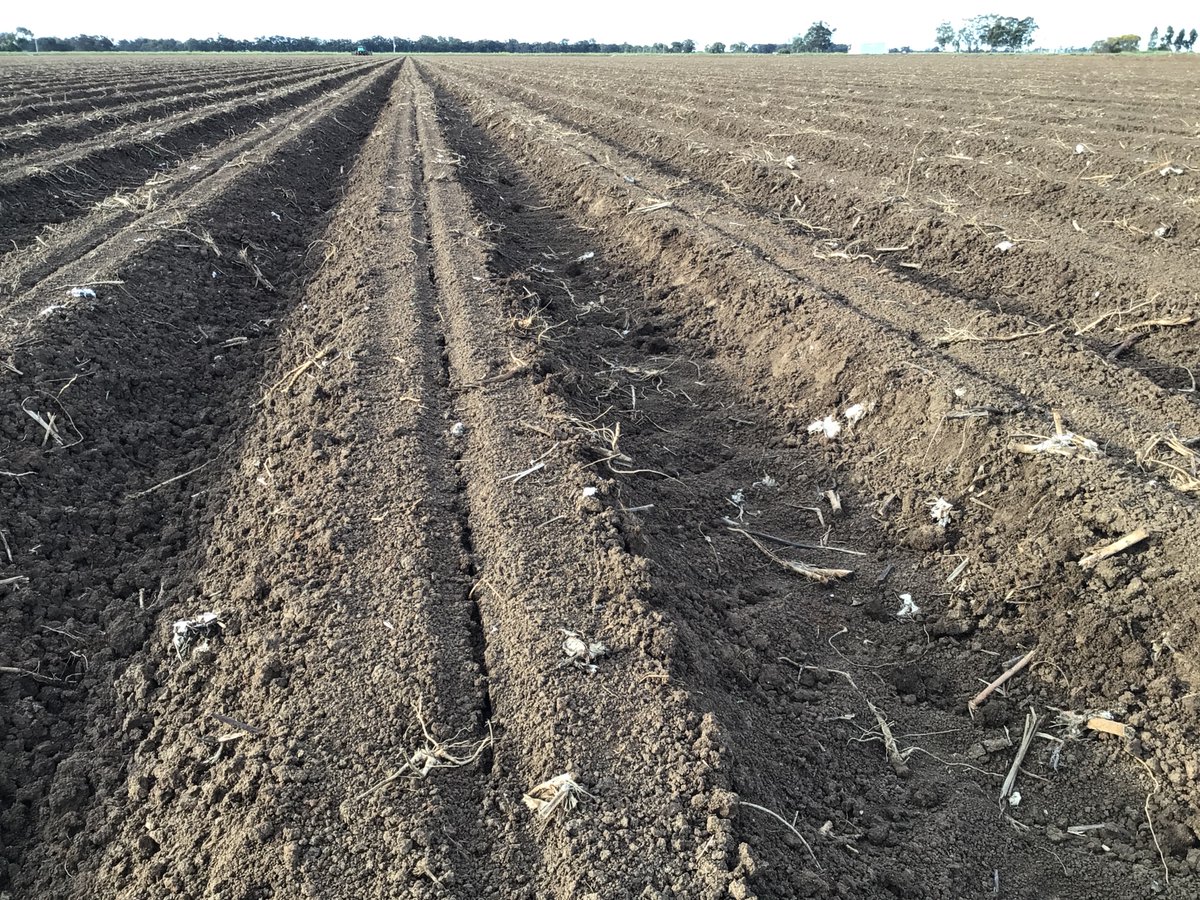 Summit Ag Agricultural Consulting tweet media
