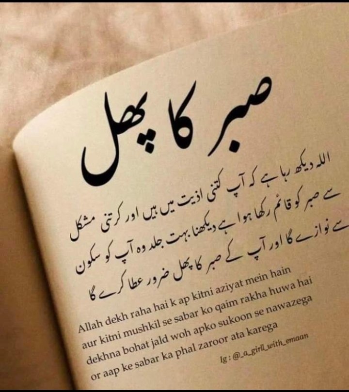 zoha khan tweet media