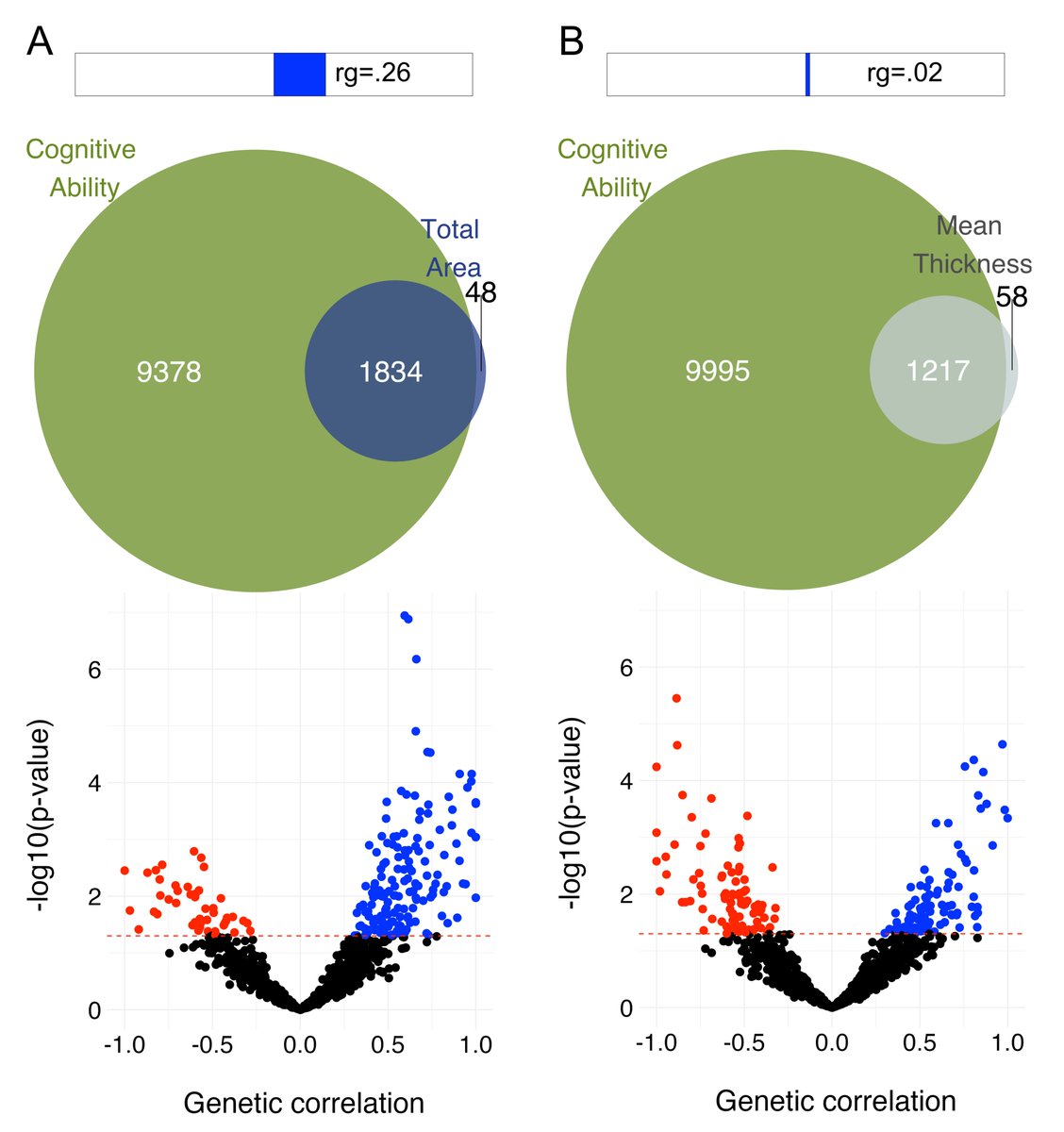 DvdM33r's tweet image. Wrote a (I hope easily digestible) review paper on imaging genetics. Now online OA #TranslationalPsychiatry. Hope its of use! rdcu.be/cXw0K