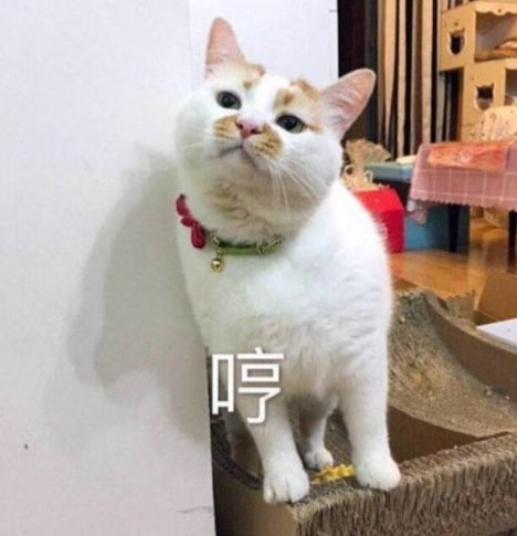 QMM16688's tweet photo. 你可以不喜欢我的性格，不喜欢我的样子，不喜欢我说的话，包括我的一切，你都可以不喜欢，没关系，但麻烦你不要来告诉我，我没有按照你喜欢的方式生活。那就请你远离我。不要来指责我，别用你的思想来嘲笑我的不足，因为我生来不是为你而活的！  😎 https://t.co/JmOSkD2TKz