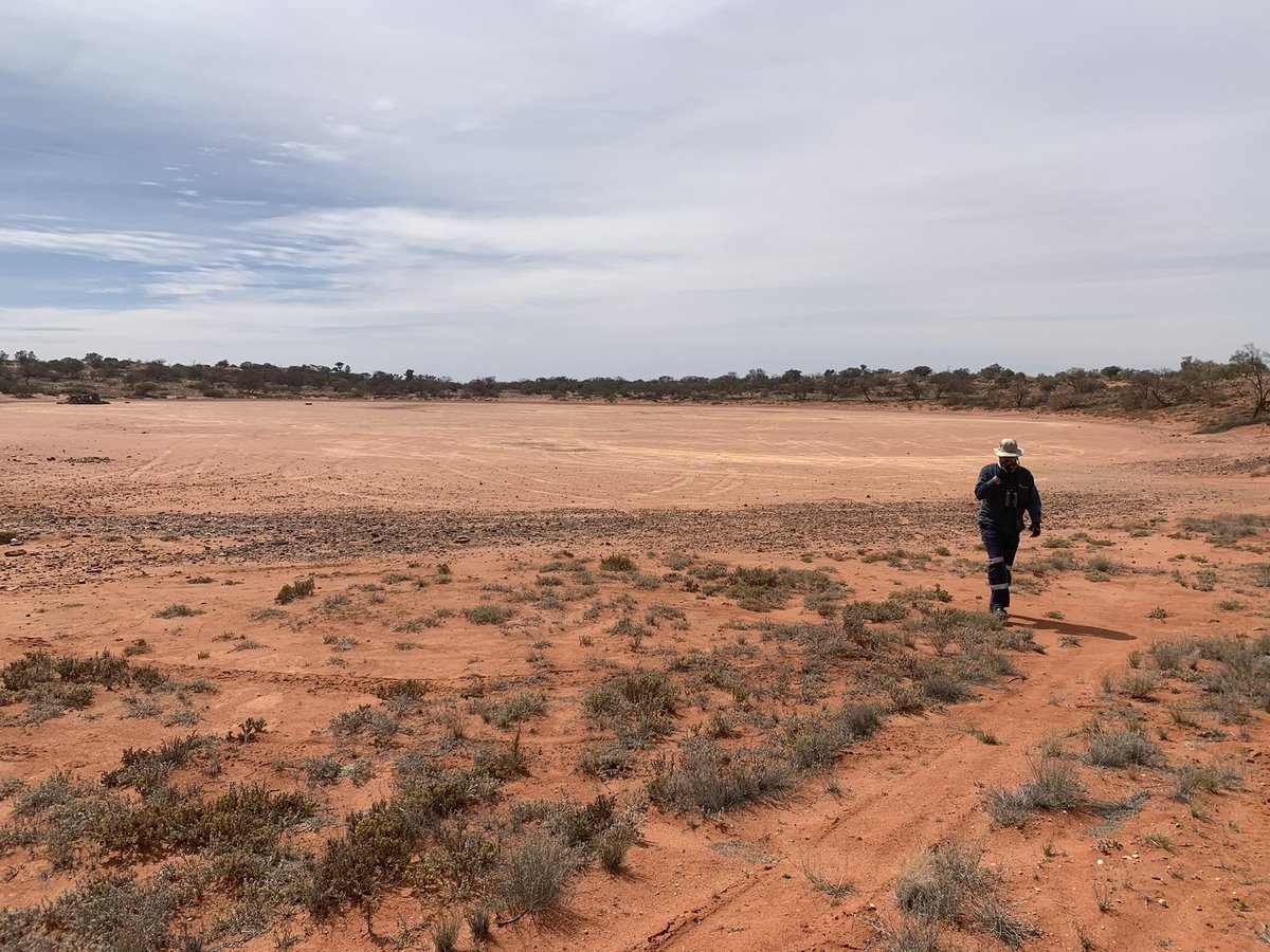 Leo McComb tweet media