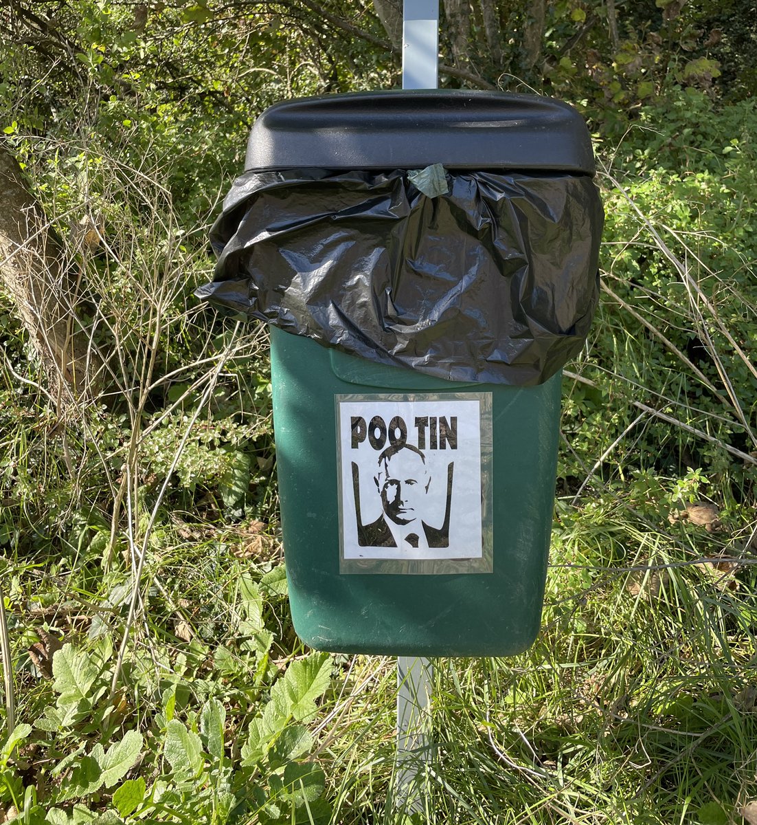CreativeAdsFal's tweet photo. Dog walkers outrage https://t.co/gmUPPJWQea