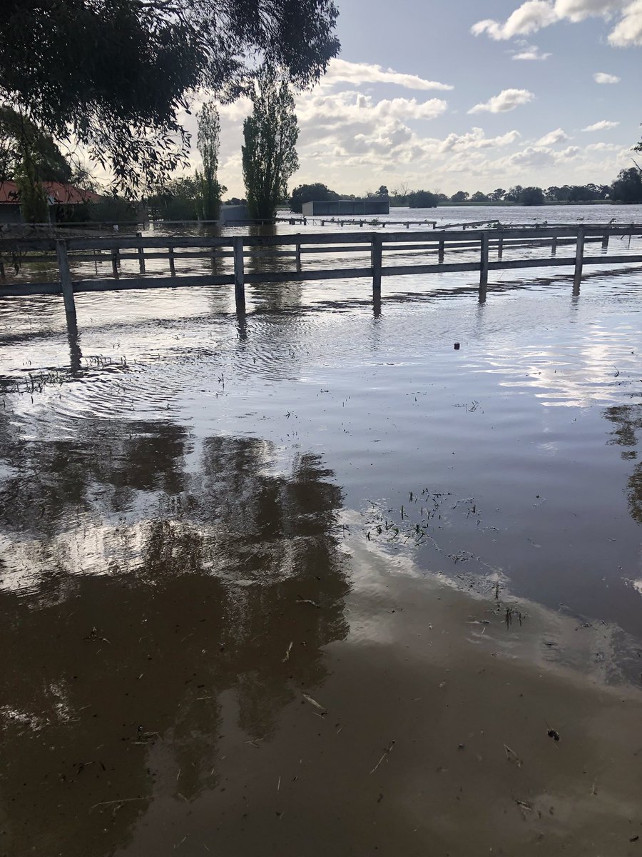 GaistJanet's tweet photo. We have saved almost all the horses just one to go but our whole farm flooded in Rochester we hope all other residents of Rochester and surrounds are safe https://t.co/dvhvLc12gz