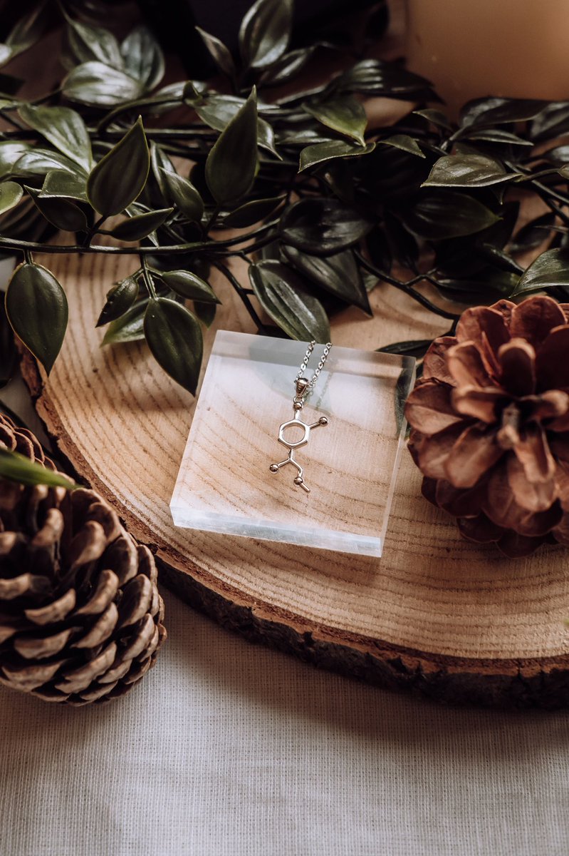 GiftChemical's tweet photo. Adrenaline 💥

The fight or flight molecule in a sterling silver necklace https://t.co/GhK0OOBkgk