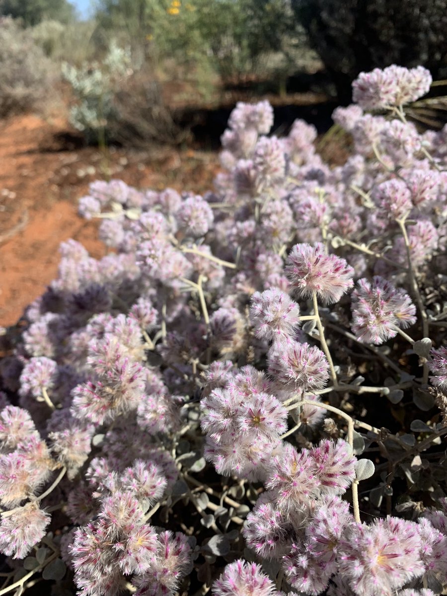 Leo McComb tweet media