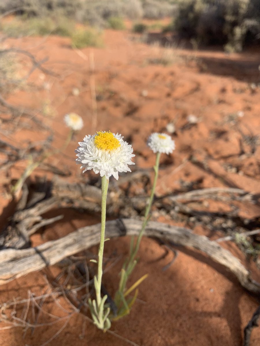 Leo McComb tweet media