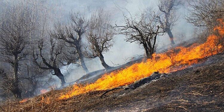 magedmfahmy's tweet photo. عالم يدمر البيئة بالحروب و ينادي بالحفاظ علي البيئة ... في نفس الوقت !!! https://t.co/TvN7Bi91hb