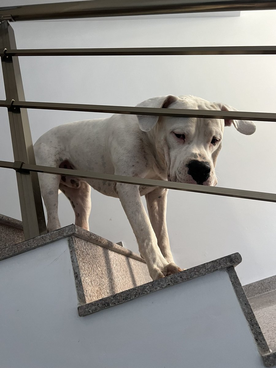 PathOfSurvival's tweet photo. GM

What company benefits do you offer to your web3 doggo-employees? https://t.co/P04VfZcAVd