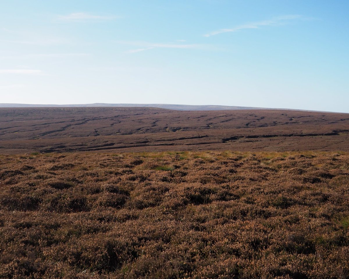 Yesterday was spent in the upper reaches of the River Don, discussing approaches to increased wetting on Moorland, looking at past works &amp; new initiatives &amp; discussing the catchment based approach. It was great to look out over Great Grains Moss to see the source of the Don!