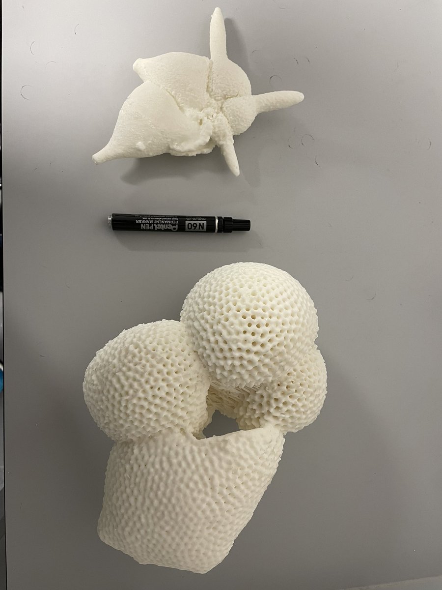 Some 3D printed supersized forams for <a href="/JackHLacey/">Dr Jack Lacey</a> <a href="/MelJLeng/">Prof Melanie Leng</a> <a href="/isotopesUK/">National Environmental Isotope Facility</a> on the way to you in next couple of days courtesy of <a href="/SUERC1/">SUERC</a> @DrGeoMillie and <a href="/Rossco_86/">Ross Dymock</a>