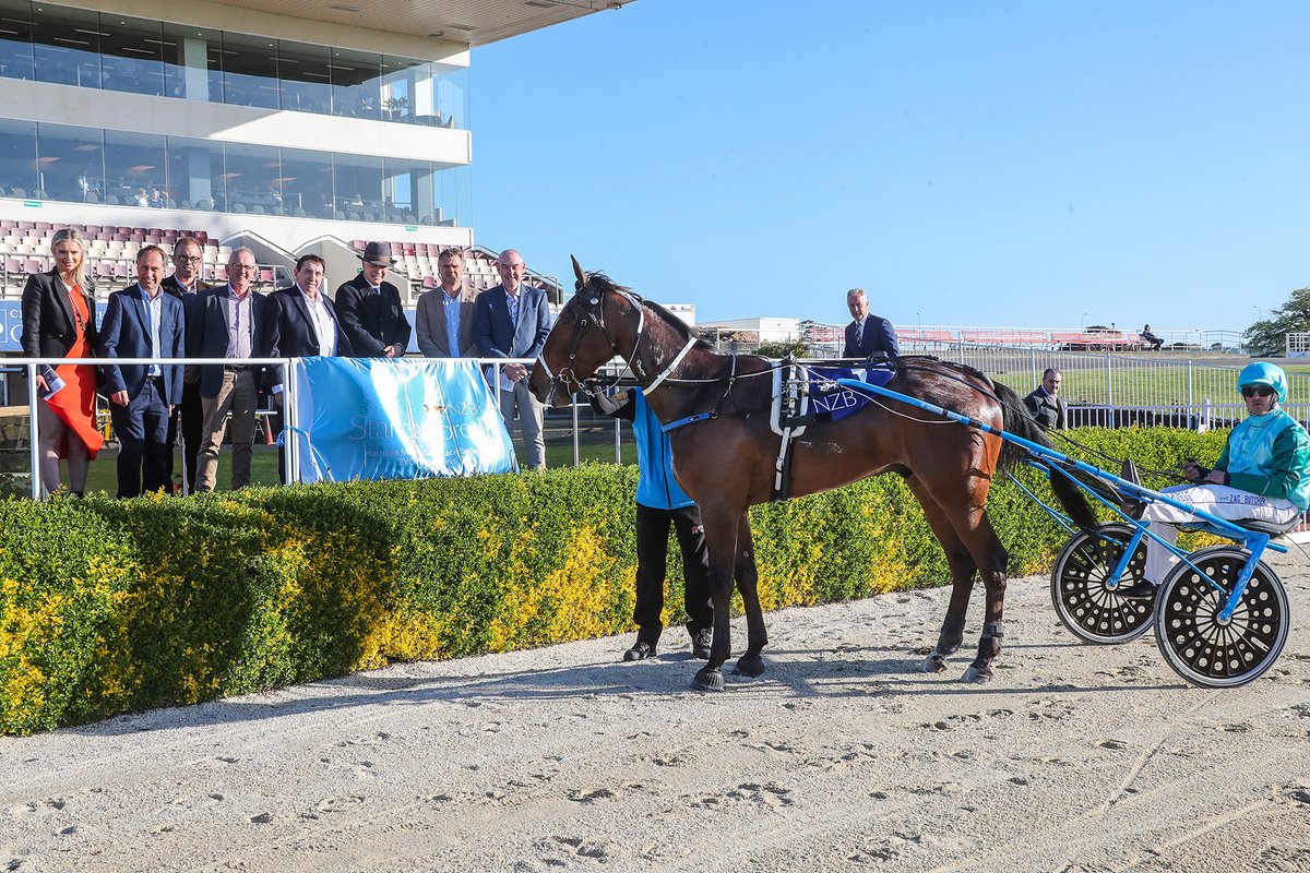 nzbstandardbred's tweet photo. Trainers Barry Purdon and Scott Phelan started a lucrative night of racing at Addington in style when their classy pairing of #SouthernDiamond (NZ) and #Halberg (NZ) filled the quinella in the $75,000 Listed Harness Million 2YO Trot (1980m).🤩

📰: https://t.co/qZY2TvXCsM https://t.co/QK5zIRljh8