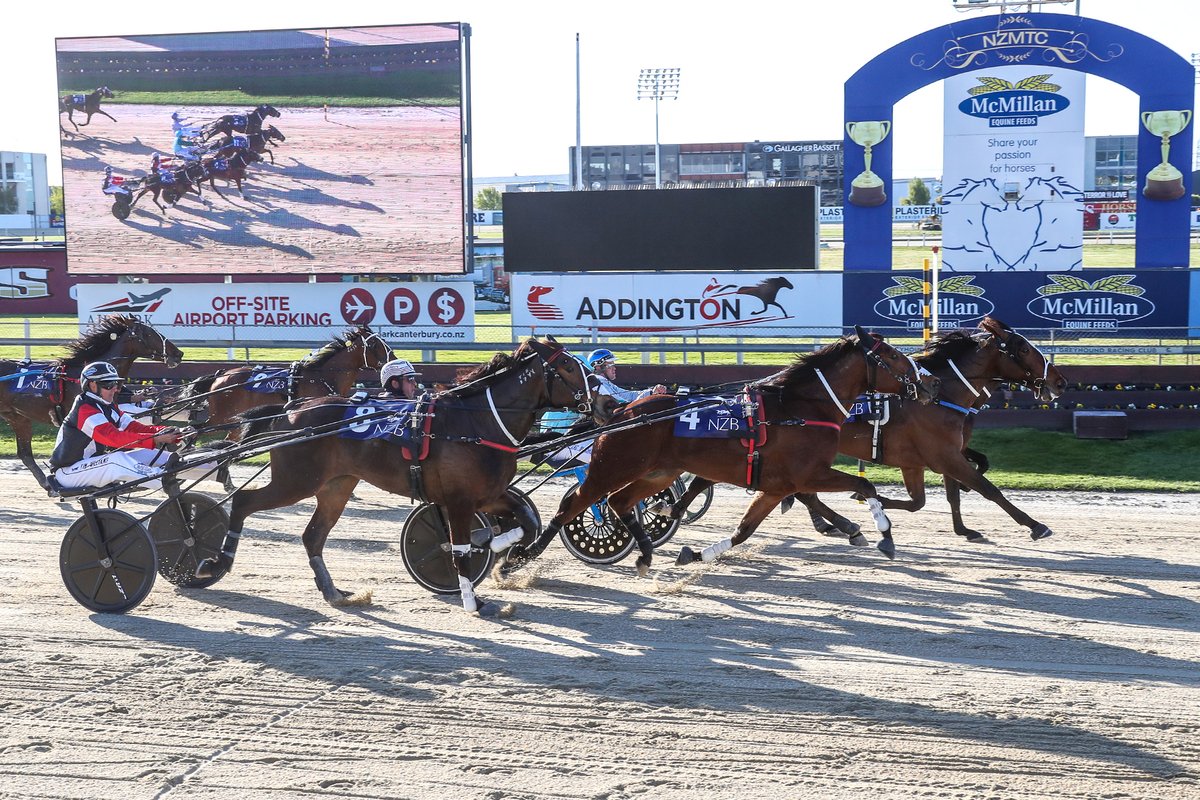 nzbstandardbred's tweet photo. Trainers Barry Purdon and Scott Phelan started a lucrative night of racing at Addington in style when their classy pairing of #SouthernDiamond (NZ) and #Halberg (NZ) filled the quinella in the $75,000 Listed Harness Million 2YO Trot (1980m).🤩

📰: https://t.co/qZY2TvXCsM https://t.co/QK5zIRljh8
