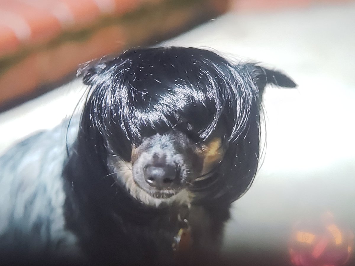 BeepBoopBB_'s tweet photo. @CrankGameplays https://t.co/lrLxLNsyZd