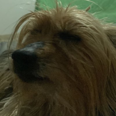 #NuovaFotoProfilo