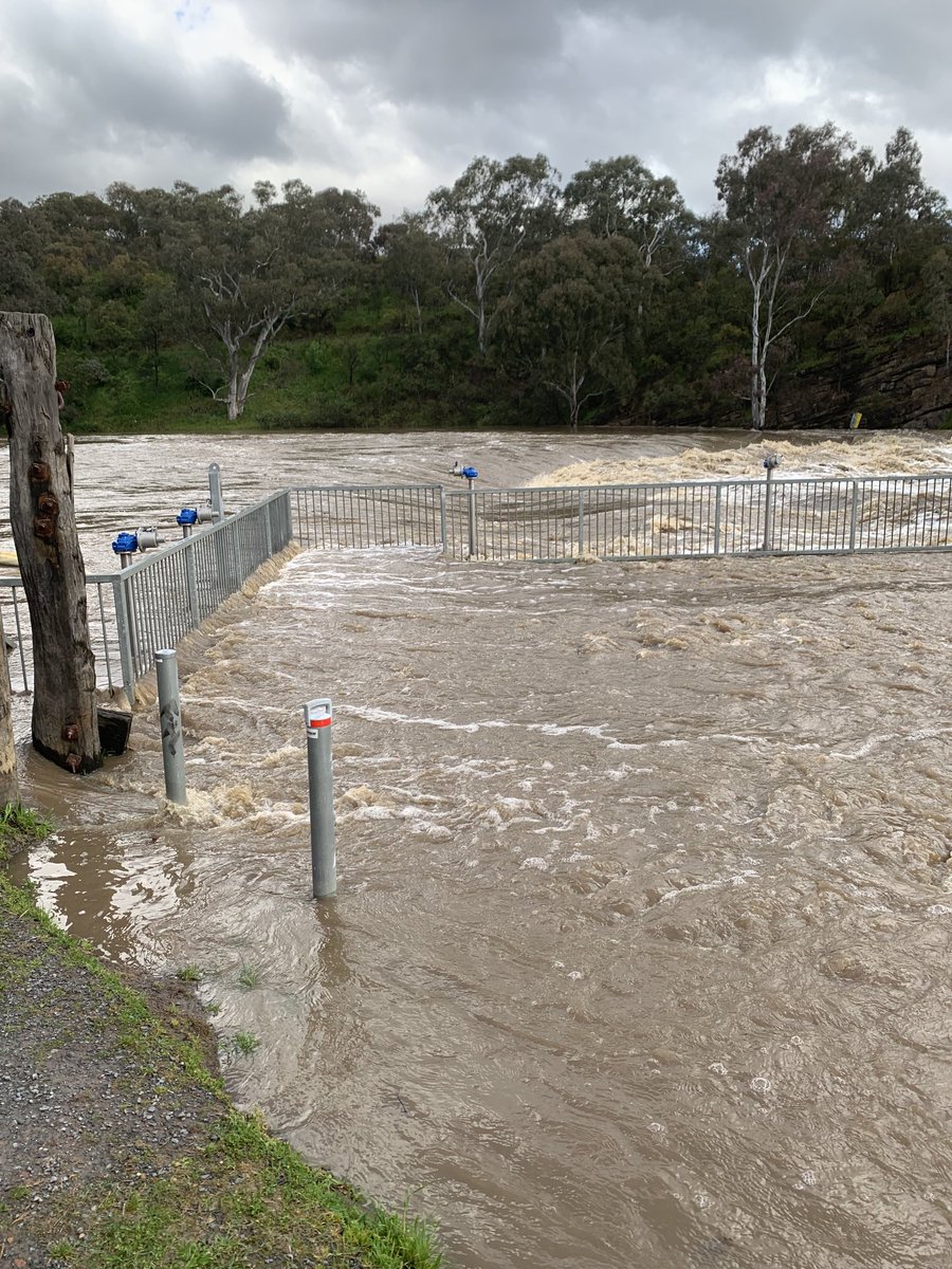 saince64's tweet photo. Never seen so much water at Dights Falls, the viewing platform is under water #dightsfalls #melbournefloods #vicfloods #melbourneweather https://t.co/MS2agLEoe3
