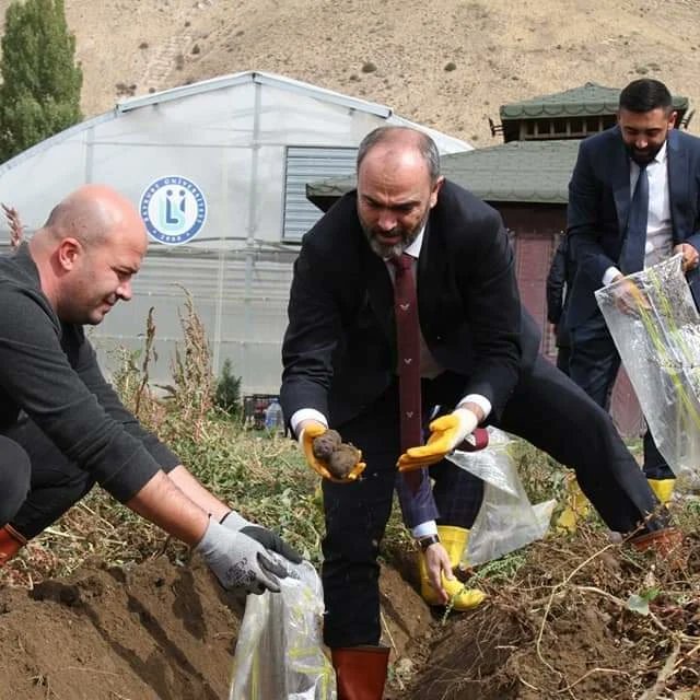 SeniSvrmBayburt's tweet photo. Bayburt Üniversitesi'nde Mor Patates hasadı başladı
#bayburt #bayburtüniversitesi #bayburtuniversitesi #morpatates #patates #patato https://t.co/cbbaltFqs1