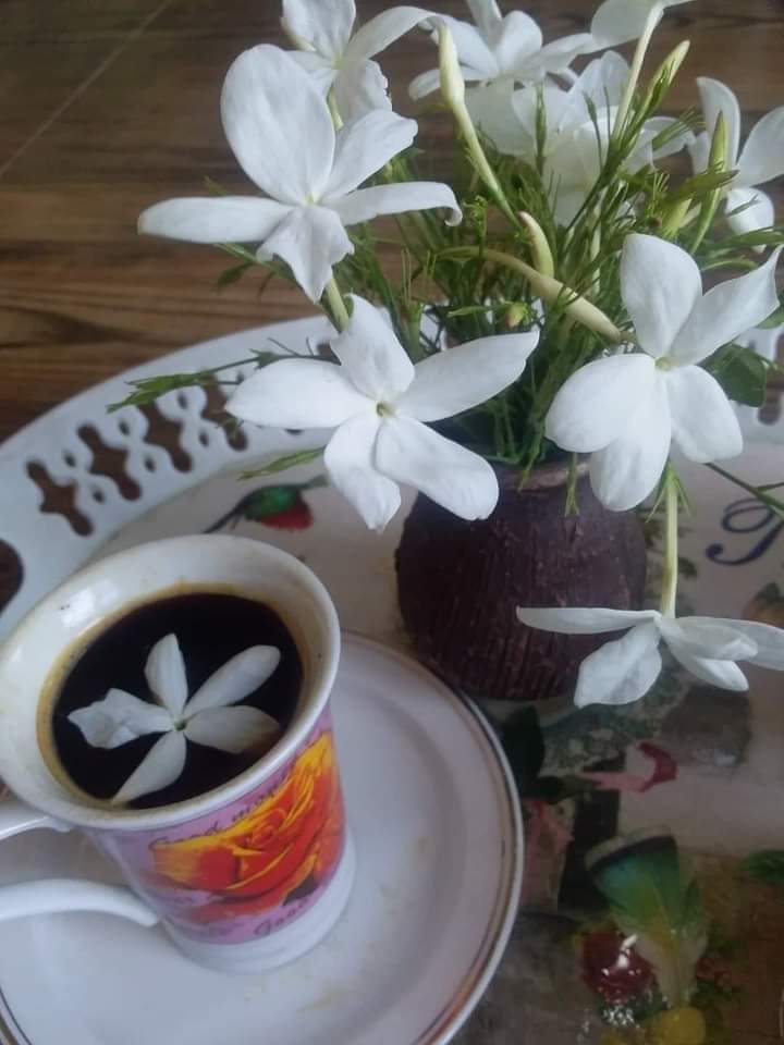 عطر الياسمين. 🌸 tweet media