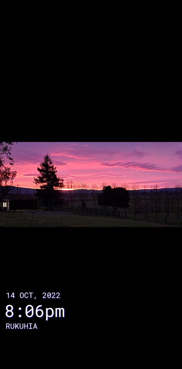 Derek de Stacpoole tweet media