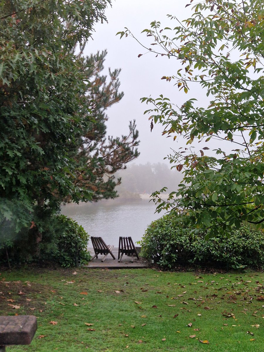 Teske🌛 tweet media