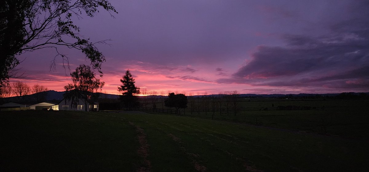 Derek de Stacpoole tweet media