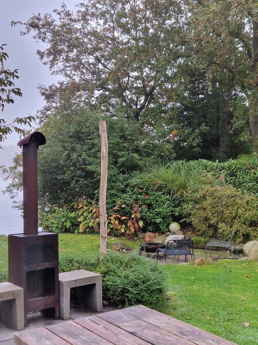 Teske🌛 tweet media