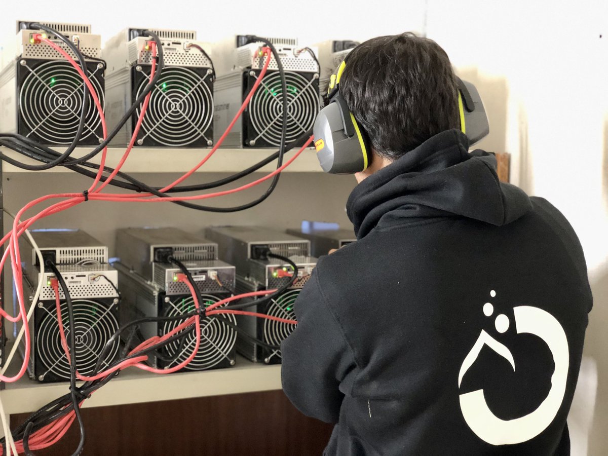 Under Oil tweet media