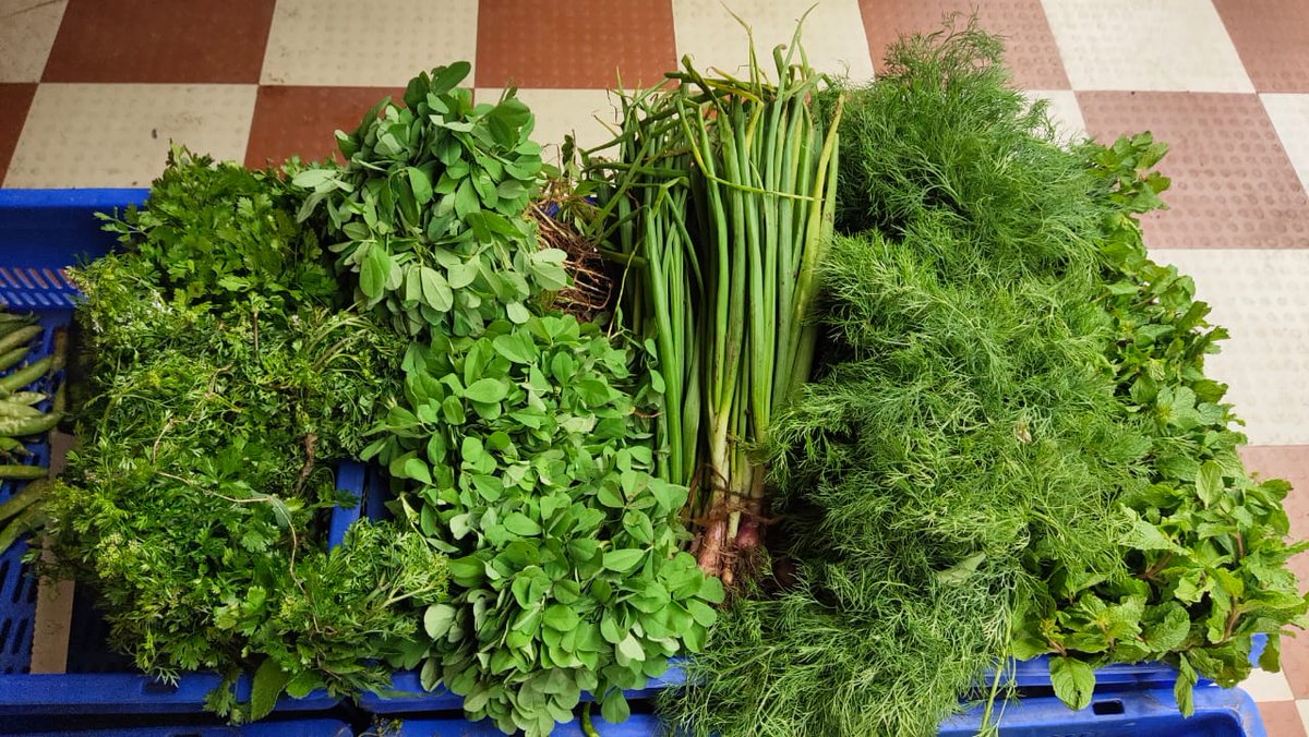 sas_organic's tweet photo. #SAS organic store   we are proving residue free vegetables @Ambernath shop #mumbai 
All types of Vegetables or Organic Groceries in store
🌿 Daily Fresh Vegetables available 
🌾Directly Farm to Store 
🍀Residue Free Vegetables 

Contact For Home delivery - +91 70200 28881 https://t.co/7fPZokxE47