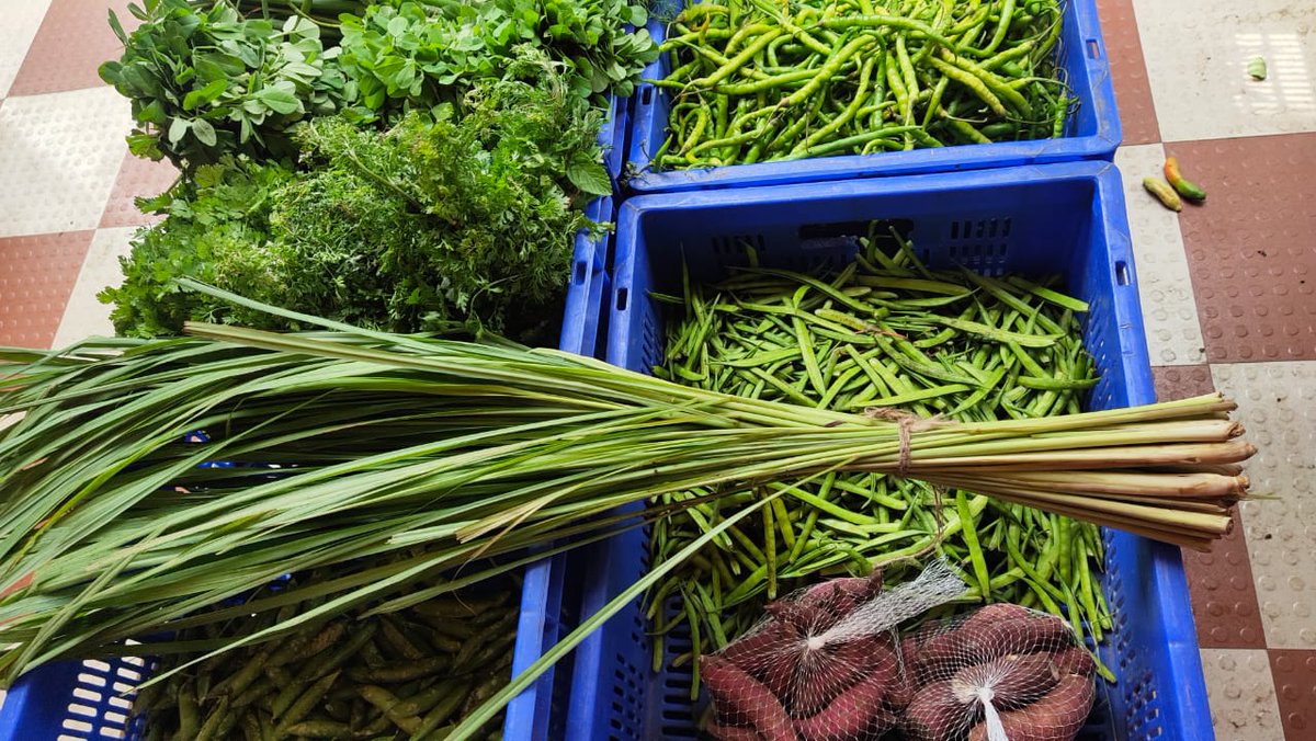 sas_organic's tweet photo. #SAS organic store   we are proving residue free vegetables @Ambernath shop #mumbai 
All types of Vegetables or Organic Groceries in store
🌿 Daily Fresh Vegetables available 
🌾Directly Farm to Store 
🍀Residue Free Vegetables 

Contact For Home delivery - +91 70200 28881 https://t.co/7fPZokxE47