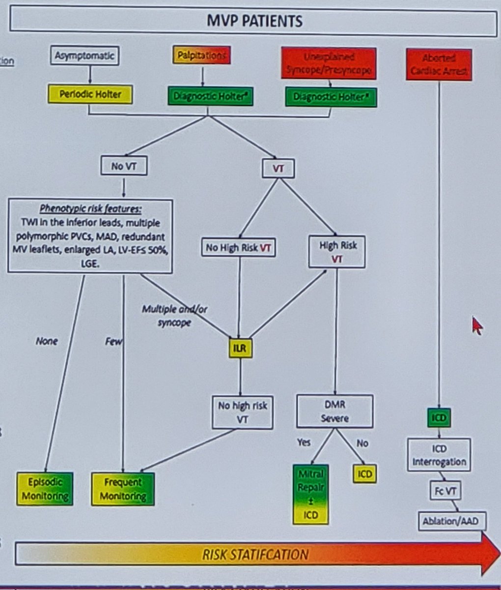 rythmo_sfc's tweet photo. Mechanisms and management of Arrhythmic Mitral Valve Prolapse
By @AviSabbag
#ISCAT2022 https://t.co/Usok5D8EXh
