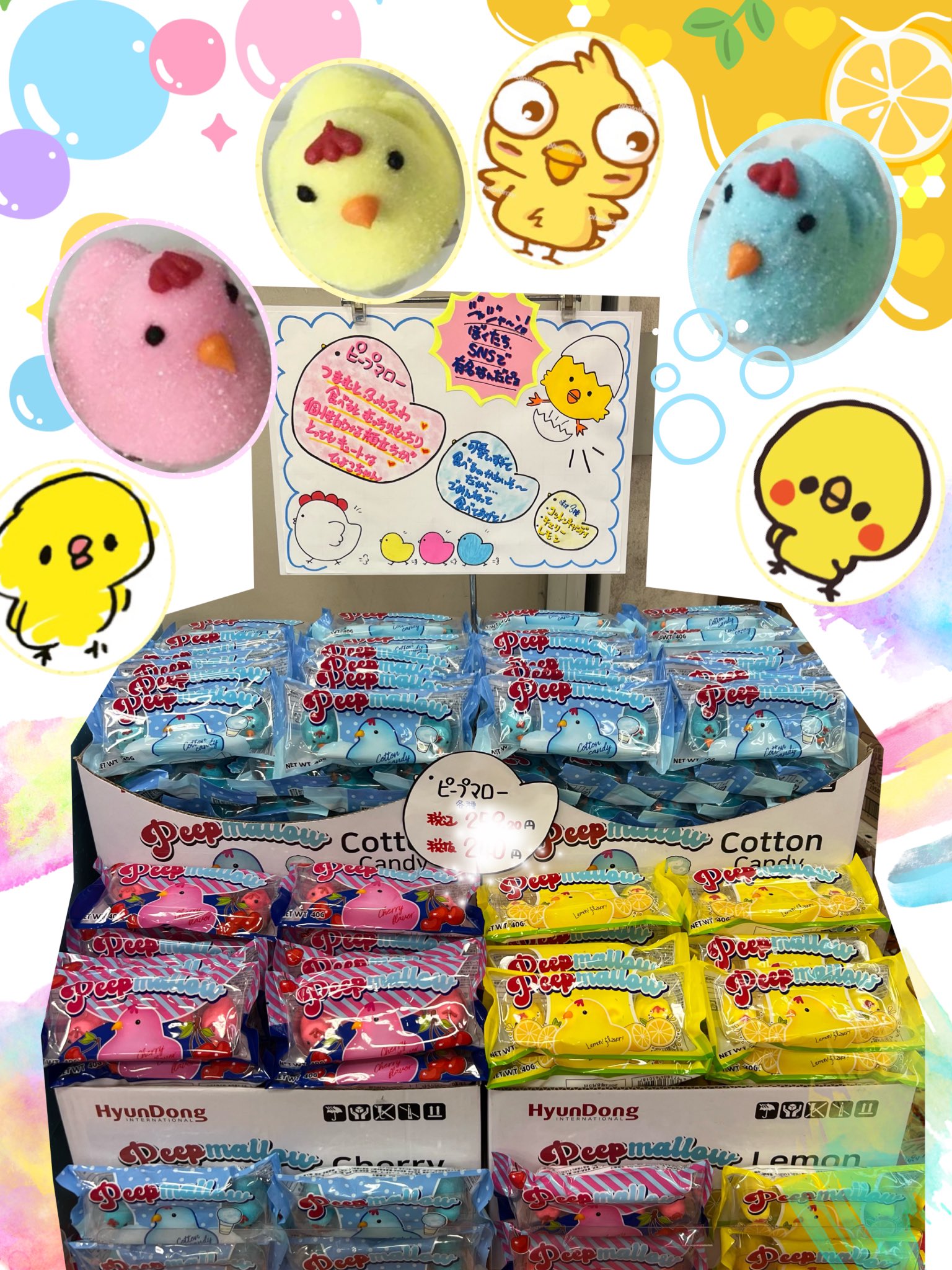 可愛いひよこ Twitter Search Twitter