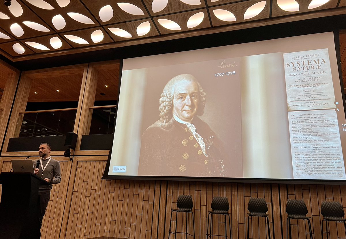 Sponge_2022 tweet media