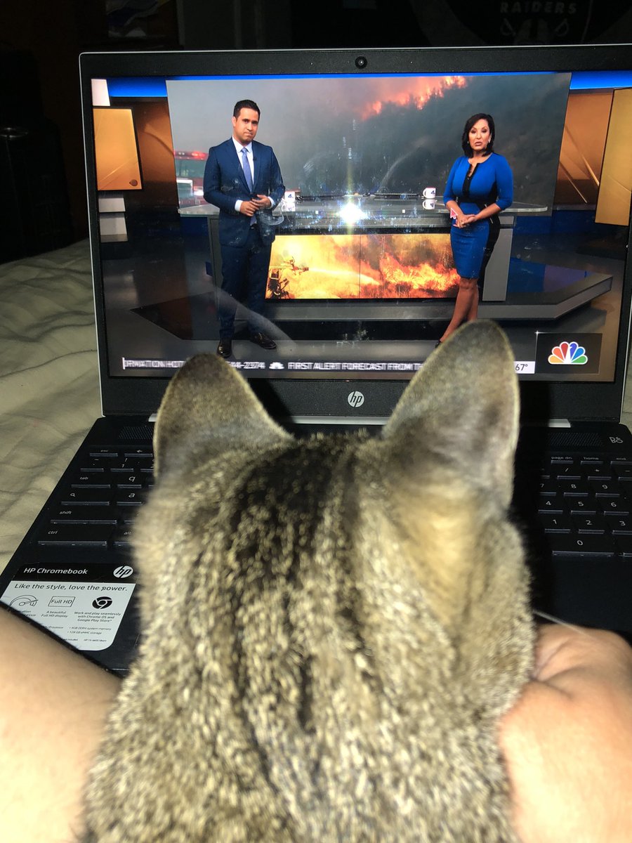 Susieuknowit's tweet photo. @LynetteRomero @NBCLA Happy first week! 🎉 Pepper Corn and I are getting to know everyone with you, Lynette. We like. 👍🏼 Happy Friday to you all! https://t.co/Qjz809h0SS