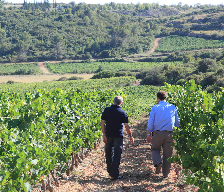LaurentMiquel's tweet photo. My father Henri is the 7th generation of Miquels at Cazal Viel and known for his dedication to the Syrah grape in St Chinian. The local people call him 'Monsieur Syrah' because of his reputation for growing quality Syrah and his general obsession with the grape! #syrah #stchinian https://t.co/xiYv28Kq8g