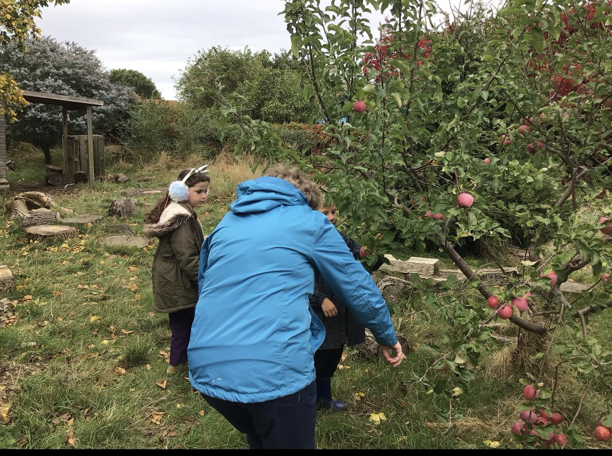 Some pictures from Y2 Forest School session a couple of weeks ago. The children made leaf crowns and ate apples they found and cleaned!