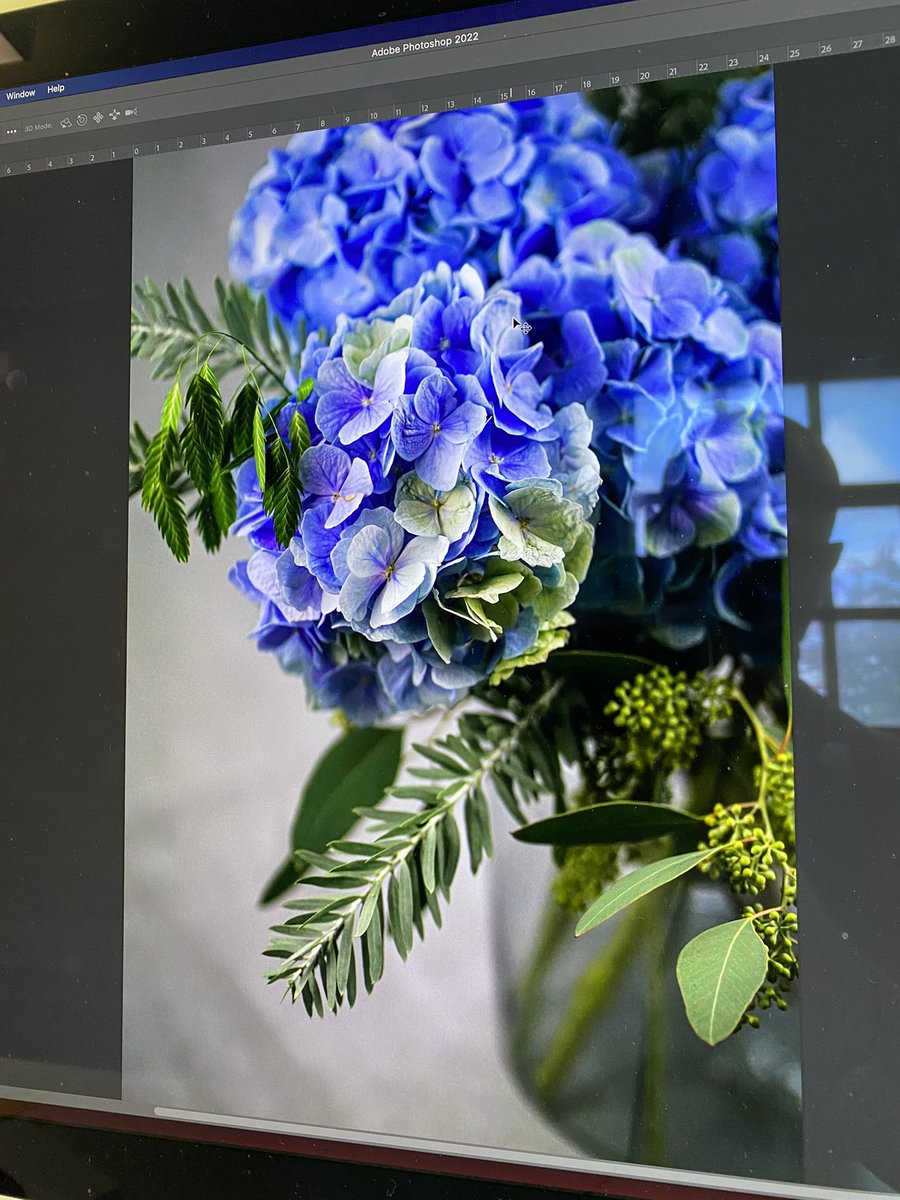 Website #photograghy for independent artisan florist ‘the petal bar’
