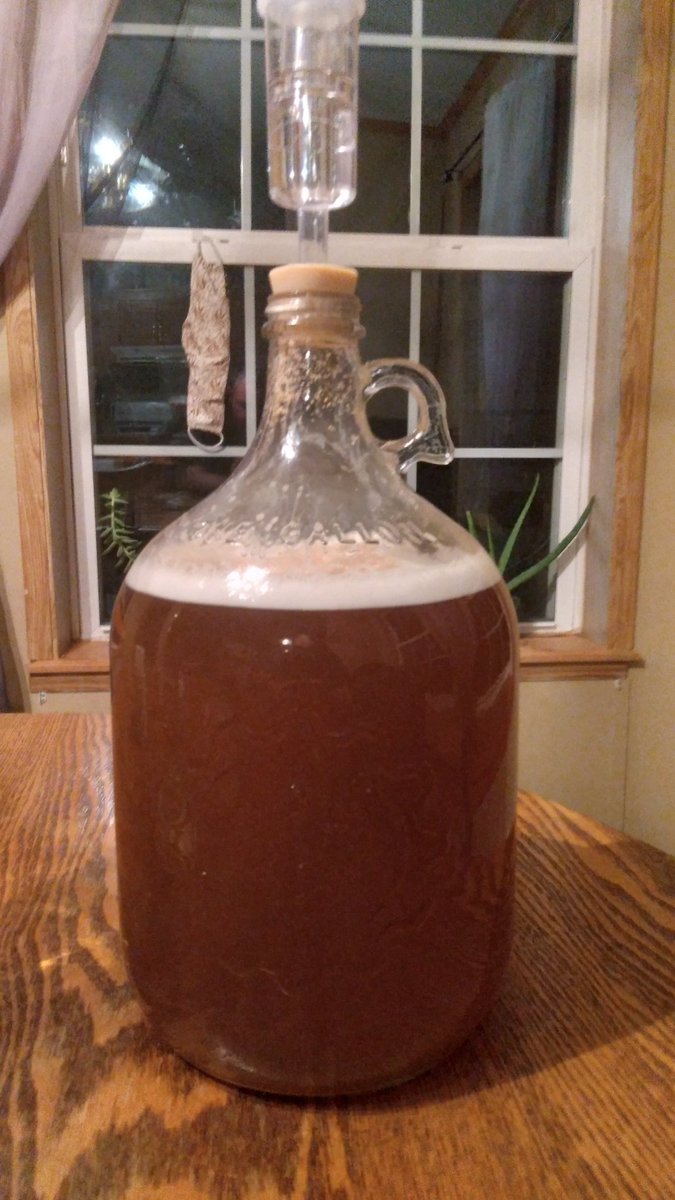 KnightDivining's tweet photo. What a difference in color already. I'll be adding 2lbs of raspberries to it tonight & then racking it into a separate container next weekend to finish out the aging process.
#mead #honeywine #honeymead #nectarofthegods #beginner #newhobby #raspberrymead https://t.co/KlqkLAK3Q5