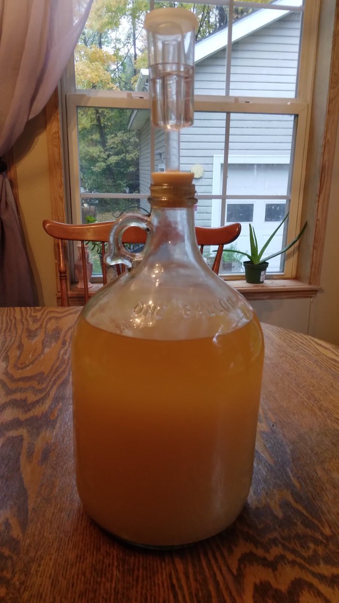 KnightDivining's tweet photo. What a difference in color already. I'll be adding 2lbs of raspberries to it tonight & then racking it into a separate container next weekend to finish out the aging process.
#mead #honeywine #honeymead #nectarofthegods #beginner #newhobby #raspberrymead https://t.co/KlqkLAK3Q5