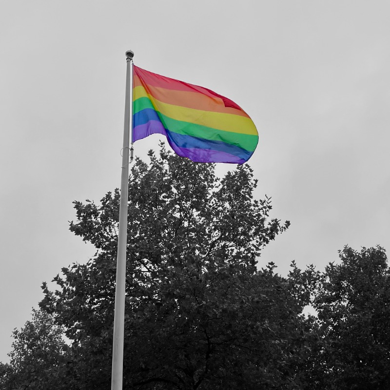 scHeerenveen's tweet photo. 🏳️‍🌈 #𝗢𝗻𝗲𝗟𝗼𝘃𝗲

#AllTogetherChallenge