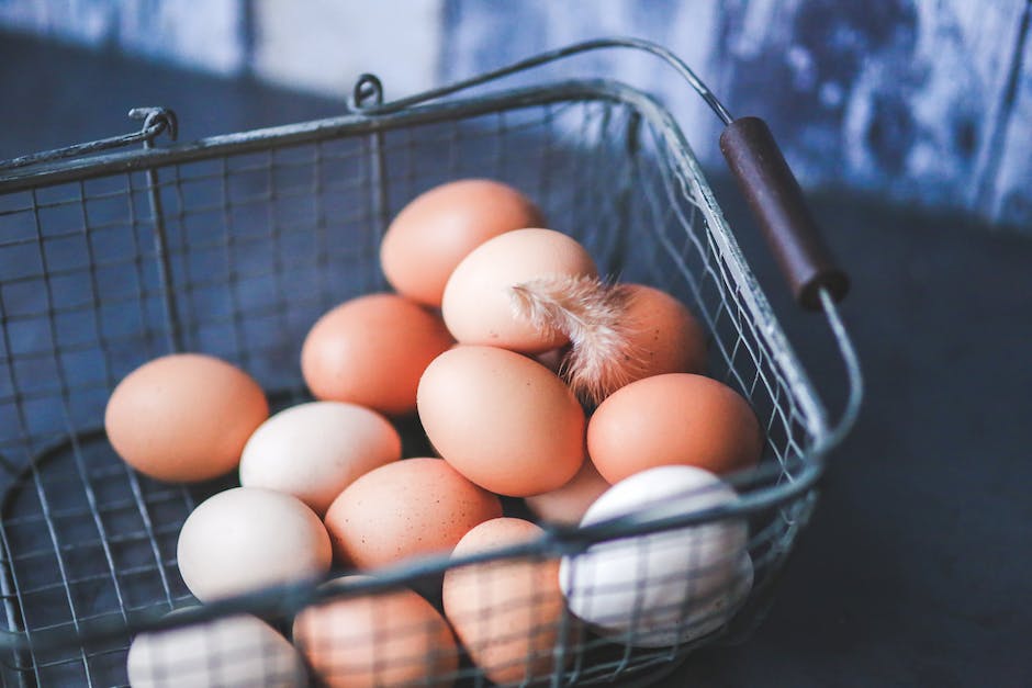 How will you eat your eggs for #WorldEggDay? Baked, basted, boiled, coddled, fried, pickled, poached, scambled, shirred.  #ChautauquaCounty has 5,000+ layer chickens producing eggs.
#AGinCHQ #FarmCHQ #CHQLocalFood #LocalFarms #EatLocal #LocalFood