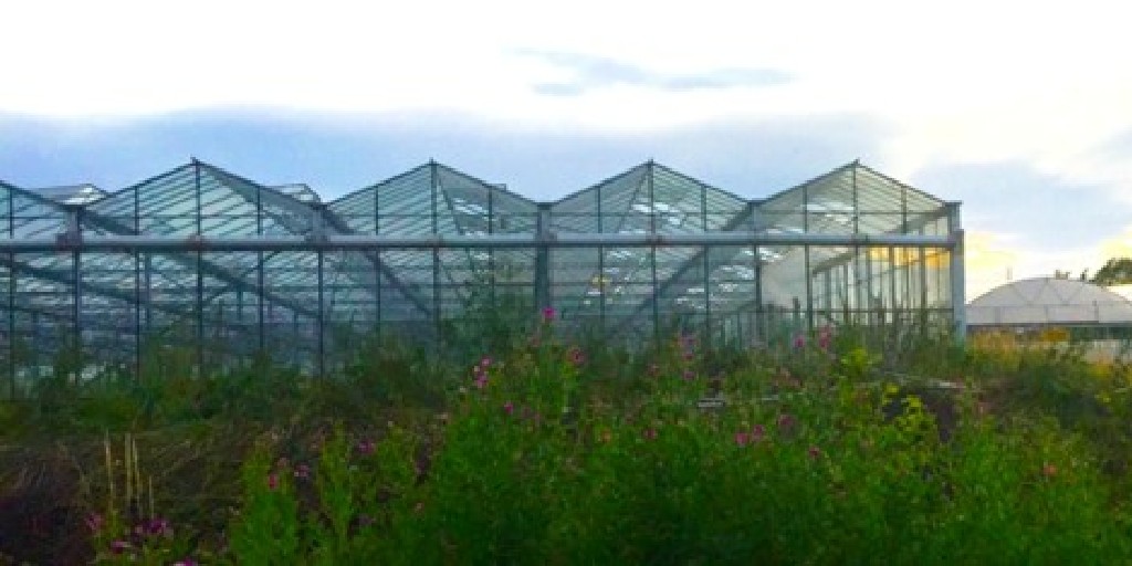 IStructE tweet media