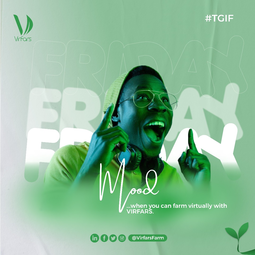 We can smell the weekend already 😊
Get your mood vibing while you allow your money work for you

#virtualfarming #investing #fridaymorning
#Friday #FridayVibes #virfars