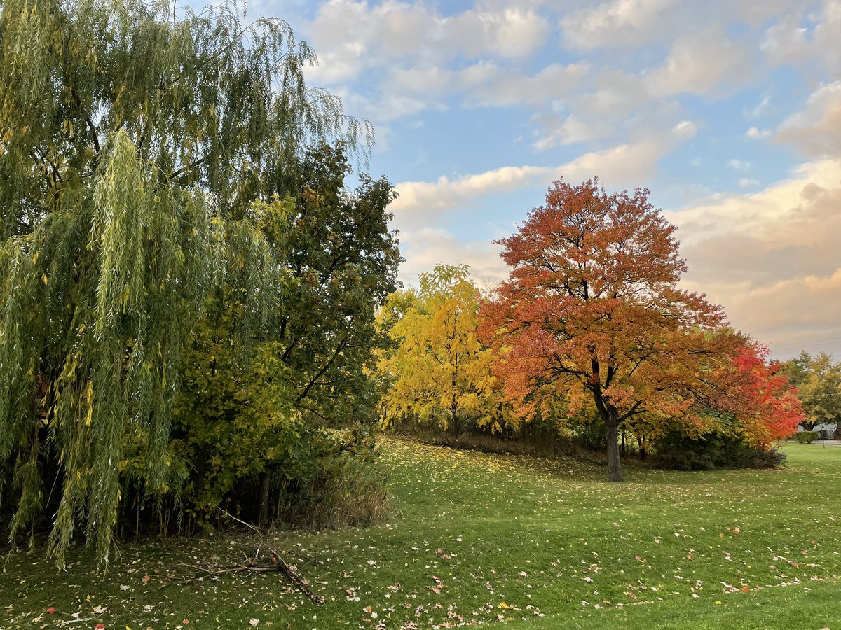 Lιѕα Mιтcнell (she/her/hers) tweet media