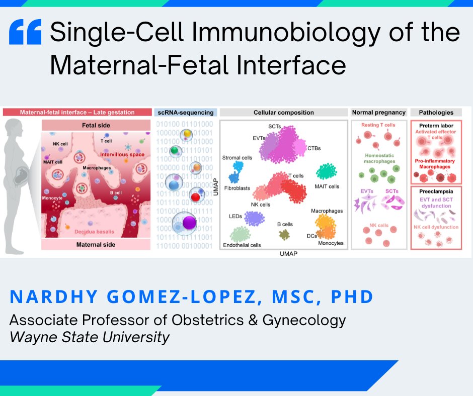 J_Immunol's tweet photo. #JI_MaternalFetal_Immuno #BriefReview by @nardhygomez @waynestate discussing #SingleCell #Immunology of the #MaternalFetalInterface #ReadTheJI #MaternalFetalImmunology #SingleCellSequencing #RNAsequencing #SystemsImmunology https://t.co/gTvdEA376R https://t.co/27naEwMuDp