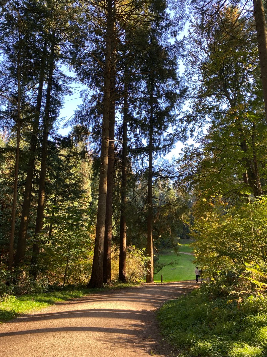 erfgoedapp's tweet photo. Het is de 'Week van het Bos', een ideaal moment om op ontdekking te gaan in de natuur in je buurt. Vraag je je daarbij soms wel eens af of het bos waar je doorloopt er ook al in de 19e of zelfs de 18e eeuw was? https://t.co/H0c2Oz3Hhf #weekvanhetbos @natuurenbos https://t.co/nfwcY8CUhi