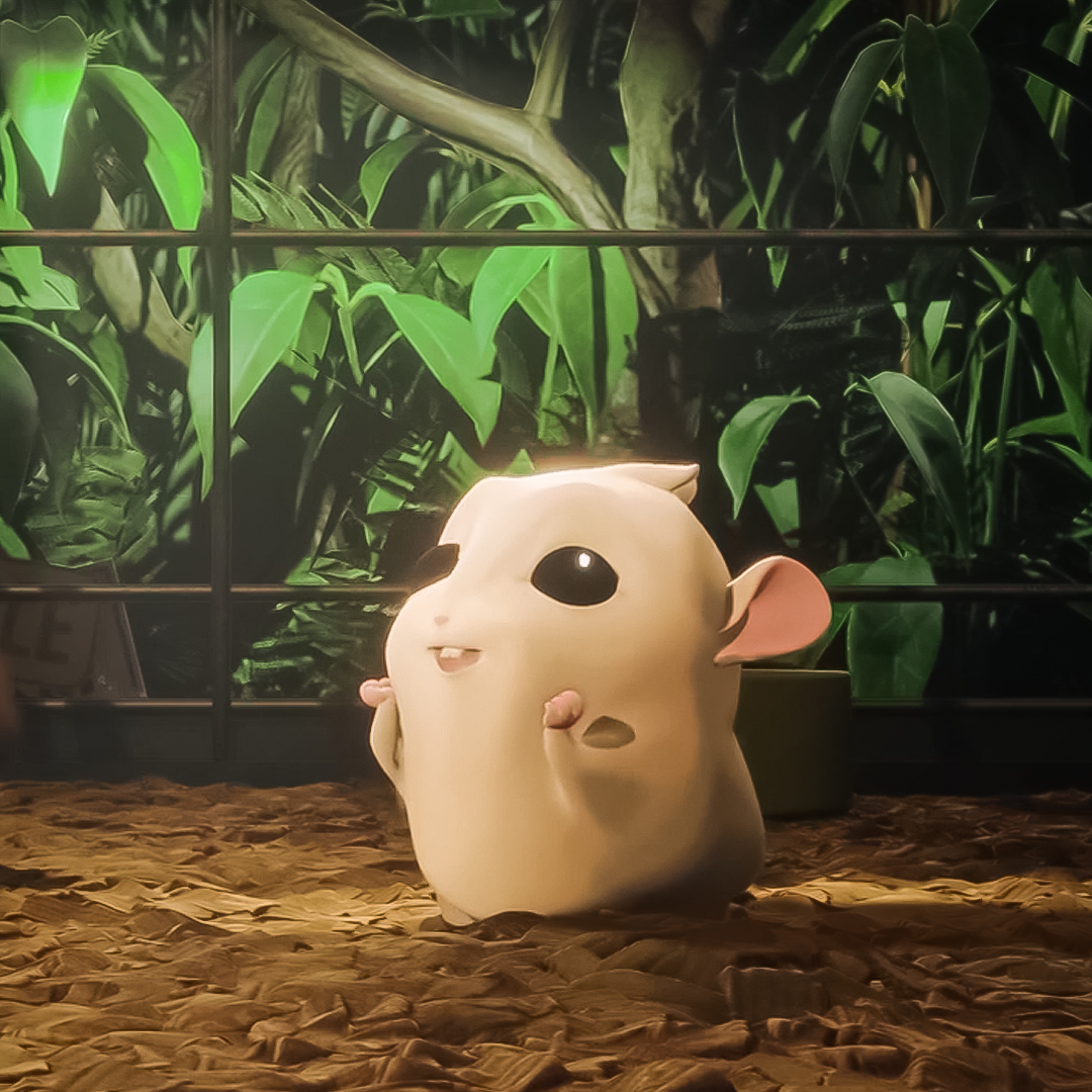 _RoborovskiNFT's tweet photo. G'day!
The sun shines brightly here, I feel like it feels more peaceful in the pet shop. Hopefully I will get adopted today!
#Roborovski #Robojournal #NFTCommunity https://t.co/1zz1EEL5rI