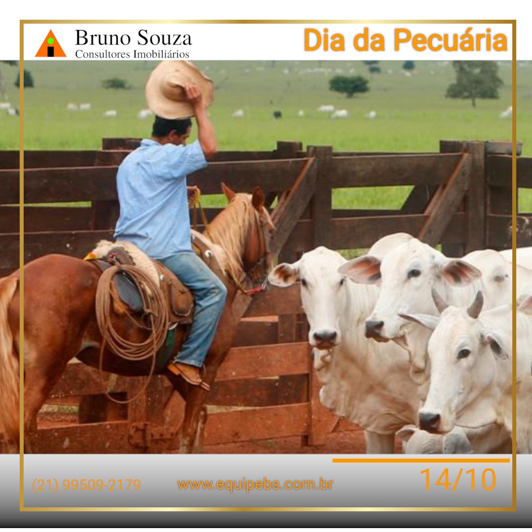 equipe_bs's tweet photo. Dia da Pecuária
 Povo que acorda cedo e movimenta o gado que chega em nossa mesa! 

Parabéns ao pecuarista. 

#pecuaria #nelore #singer #guzera #agronegocio #gado #quartodemilha #cavalo #bretao #johndeere #gps #georreferencia #holandesa #pantanal #cerrado #masseyferguson #valtra https://t.co/YN25UqmdFA