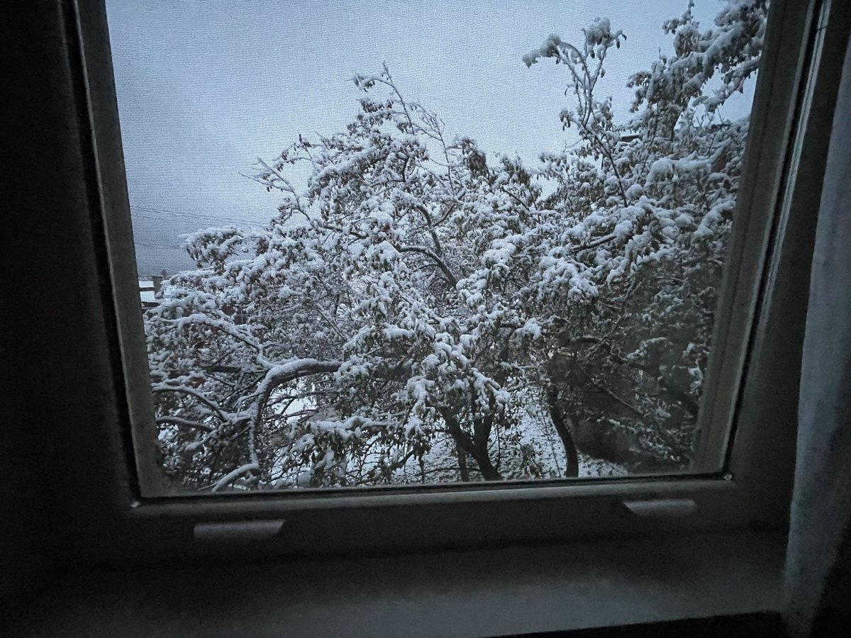 Kate Van Daele tweet media