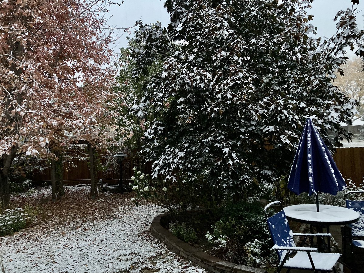 KikiCrab15's tweet photo. Hey @svensundgaard @pdouglasweather it happens to be #NationalDessertDay so I think this weather calls for multiple desserts today #snow #Minnesota #weather #itsonlyOctober https://t.co/bxDOWsQ1eu